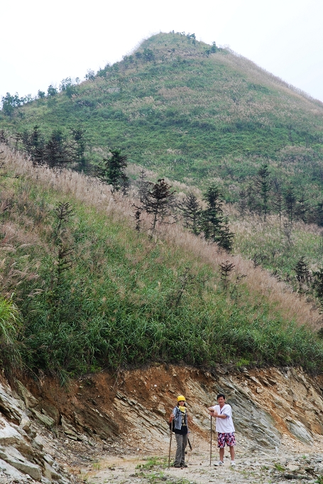 �ڵ�������¿���Ĺ�·��