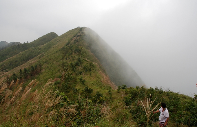 �����ʵǹ�����ͻȻƮ��������������1132���ϼ������ġ�