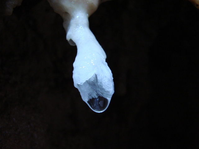 ����ľ���