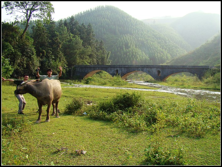 ��������ţ��