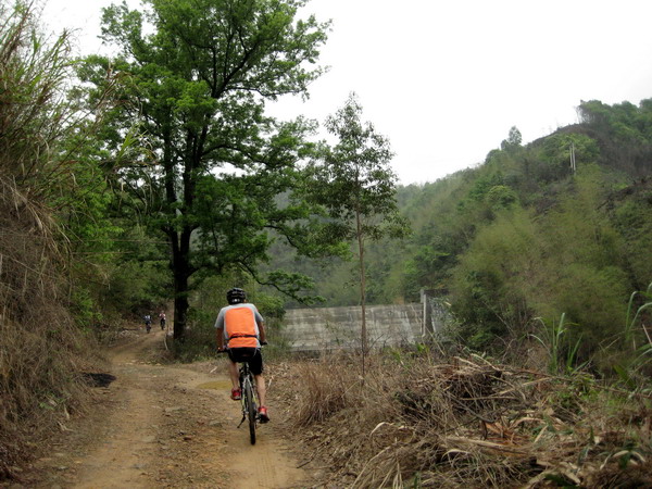 ���ж����ڷ����´���