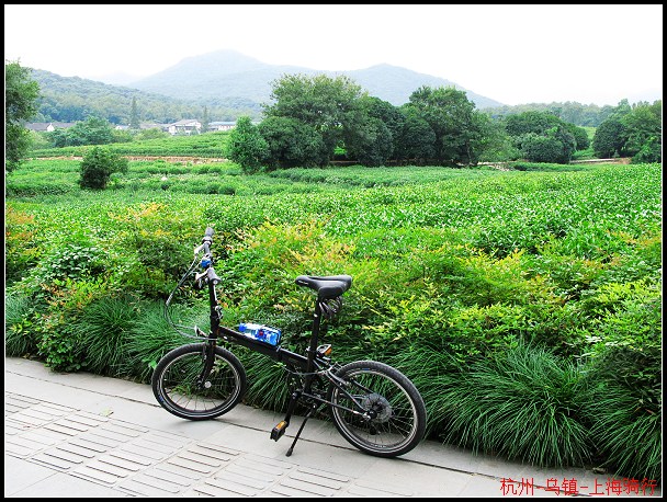 ��ɽ���������