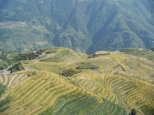 ���ǰ���