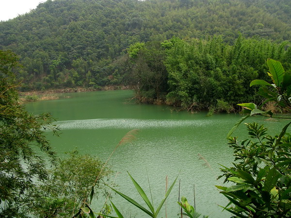 �����ĺ���