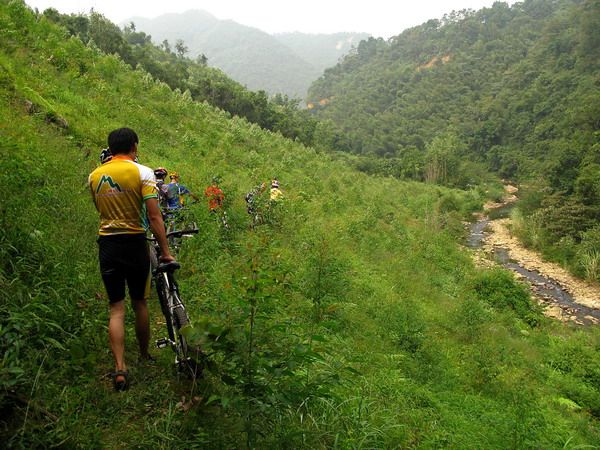 ����ͨ��