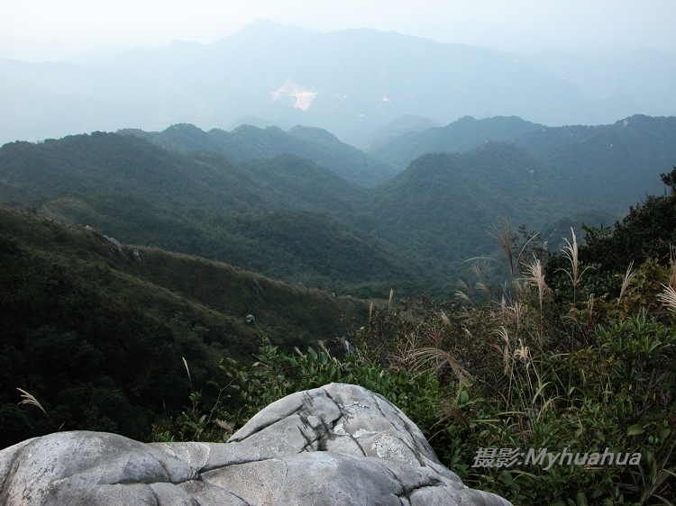 Զ������206��