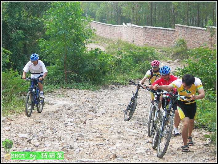 ���˽����Ҷ��ͭǮ�����ģ�