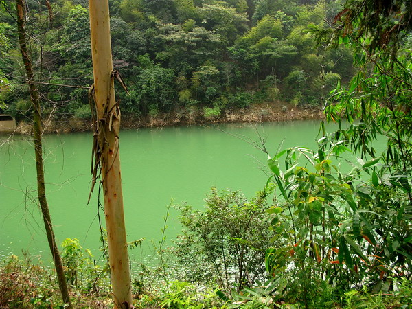 �����ĺ���