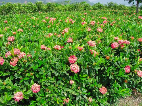 ȥ�˸��羰�뻭�ĵط�~~