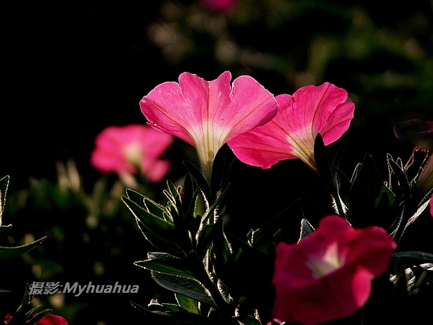 ������㣬б���������������������ܺÿ�