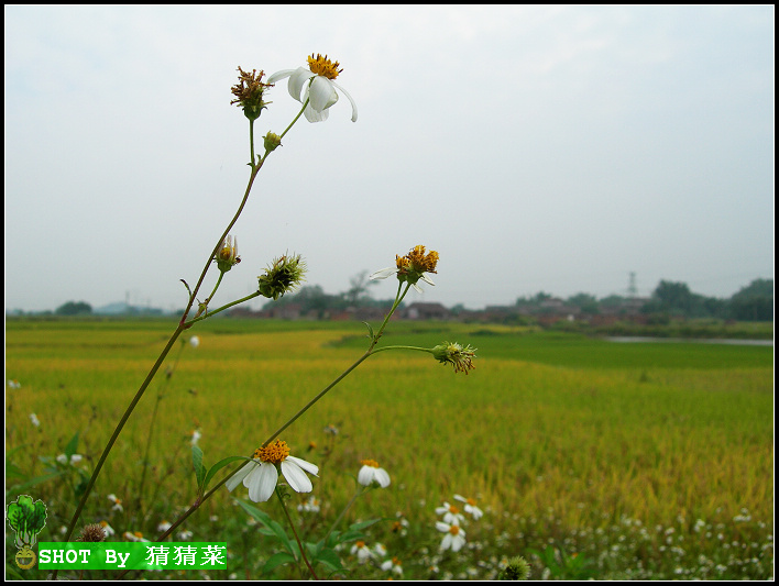 û�л��㣬û������