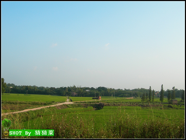 ������̵����