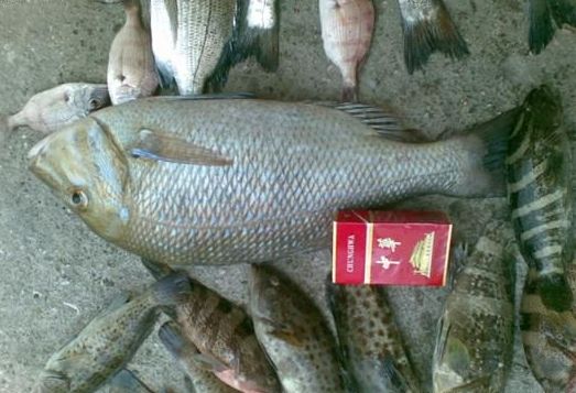 ����������10�׵�������Сʱ�����