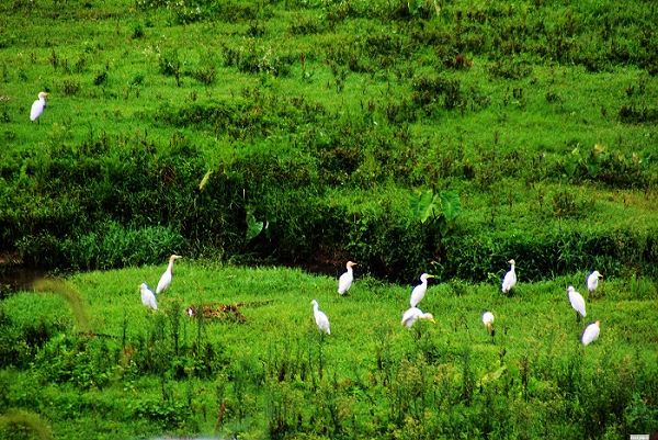 һȺ��֪���İ���