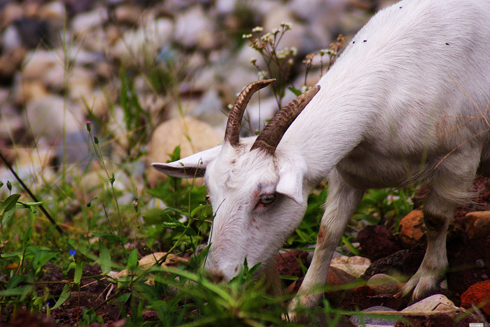 ·�ߵ�С��...