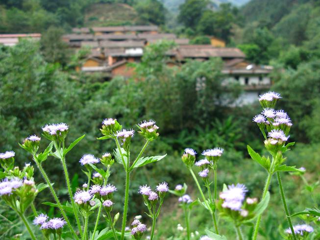 ɽ��ǰ��Ұ��