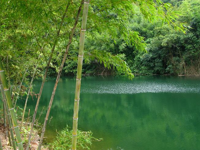 ������׵ĺ�ˮ