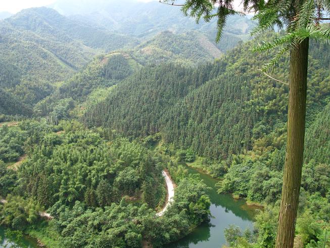 �ʼ���ĺ���