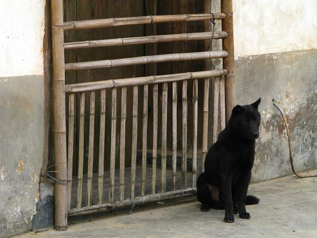 �ڽ�������