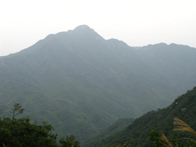 ����ü��ң����¥��