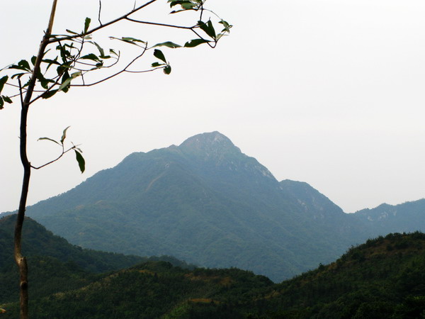 �Ӻ���802�׵���ü��ң����¥��