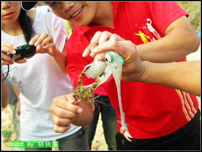 ���㣿��צ�㣿