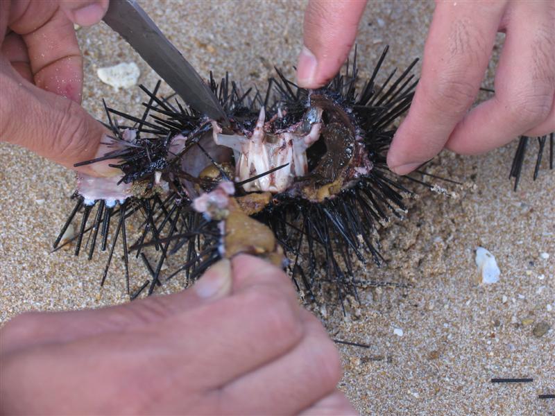 IMG_6945 (��).JPG