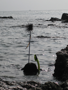 ׽��������04