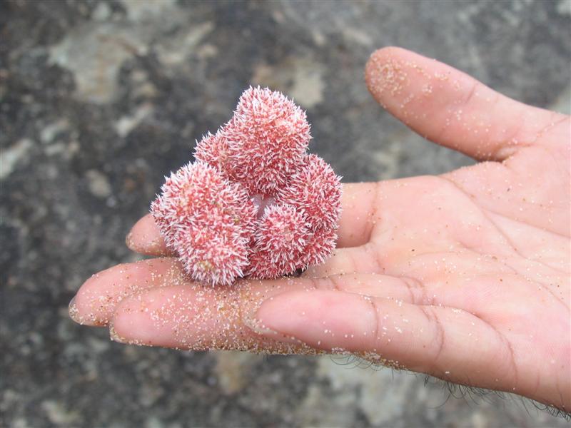 IMG_6952 (��).JPG