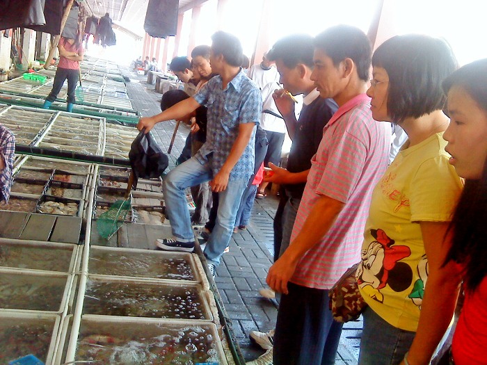 ������,�ʶ���,��ˮ����������