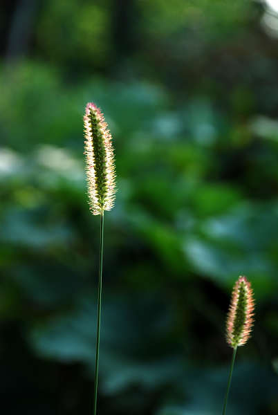 ��β��,�������ĵ�~