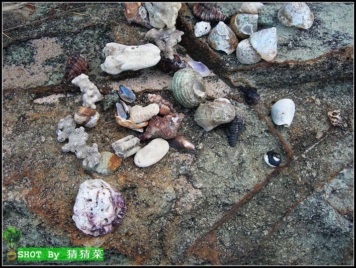 ĳ�������ı���