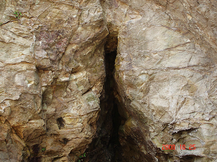 �������عص����?