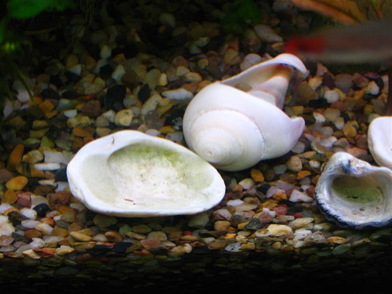 IMG_7000 (��).JPG