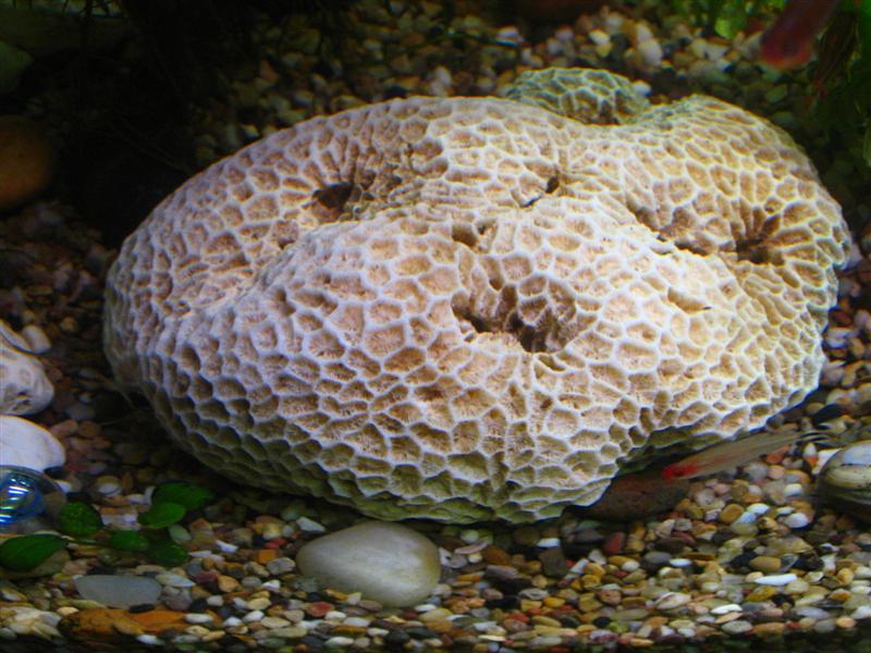 IMG_6999 (��).JPG