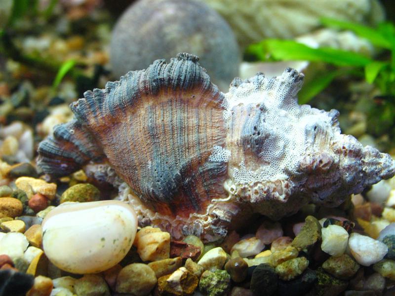 IMG_7001 (��).JPG