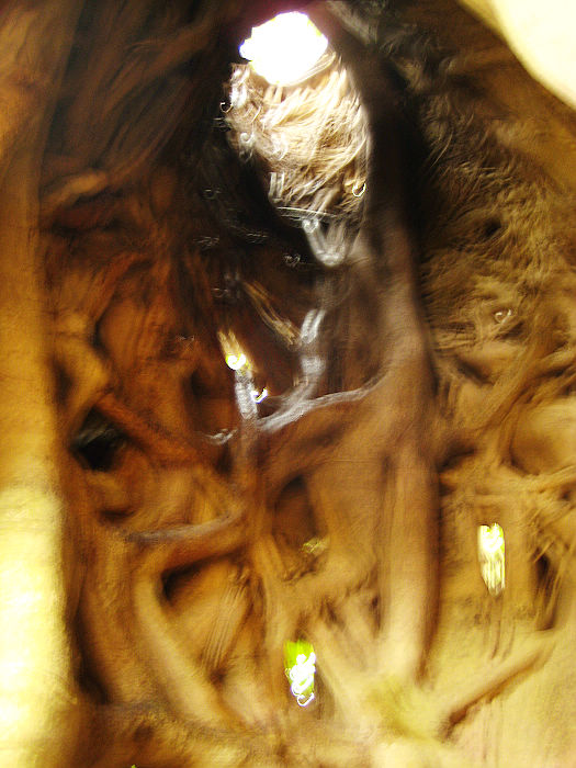 �пյ�������