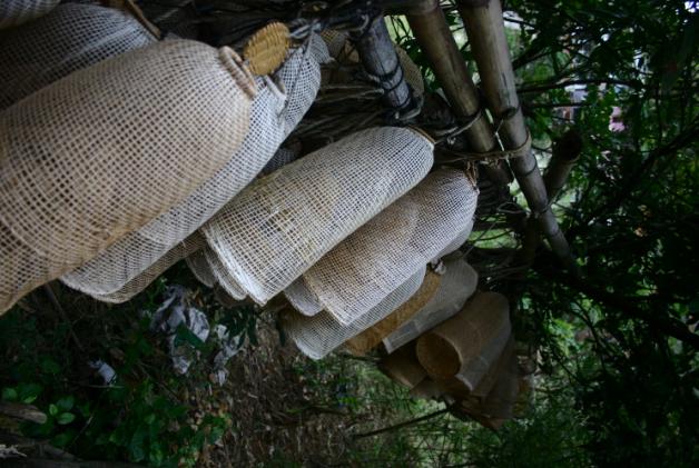 �������ʲô