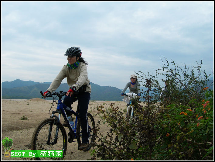 ���������׸�