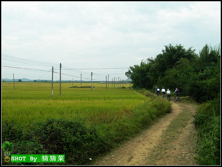 �ֵ̲ĵ�������