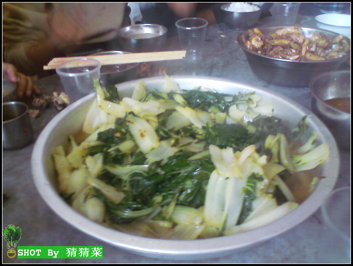 һ�����л���ײˣ����ϼ��ͣ����㣡~���ۣ�~����~