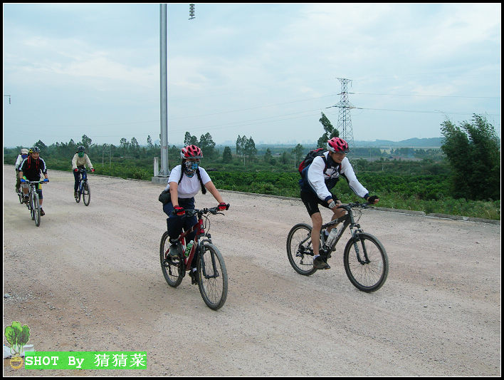 ���ĵ�����