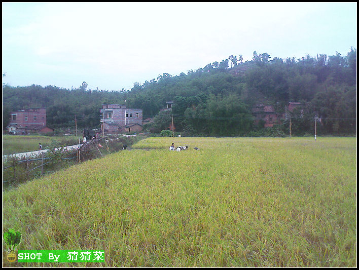 �����׸׿���ũ�񲮲��ڸ�̣�����ȥ������