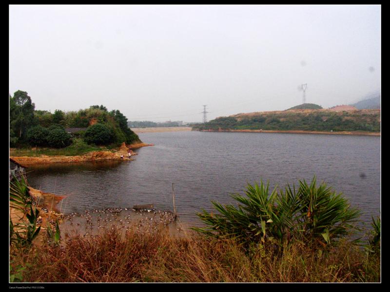 �����д���������������ɳ��ί