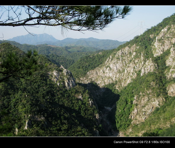 ���ĵĴ�ñɽϿ��