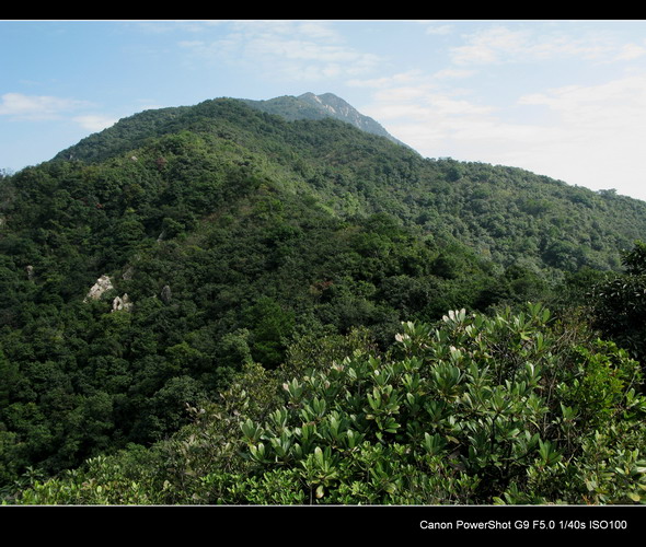 ��ñɽ�۷�����