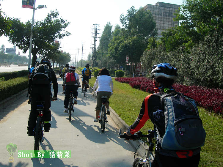 ���й����������г���