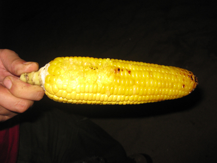 ��Ӳӵ����ף�������ѽ��