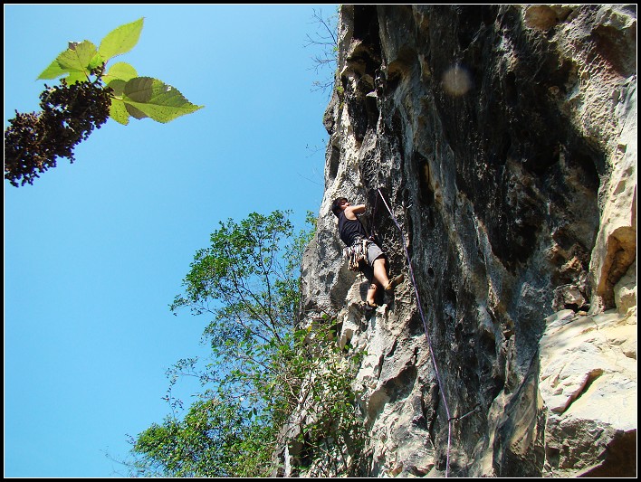 ���ȷ�İ�ϸ