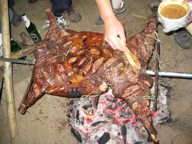 ����Ҫ���ˢ����ʦ���Ƶ������տ�֭